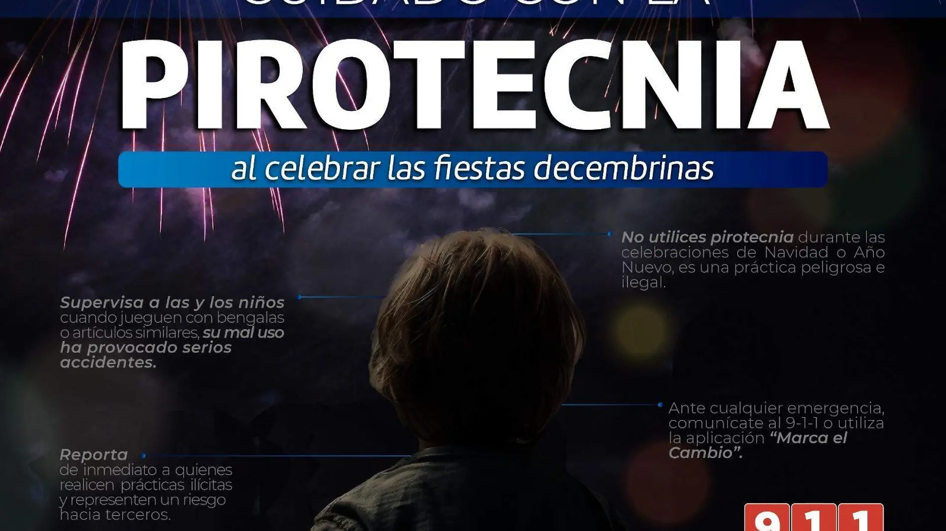 pirotecnia y explosivos 